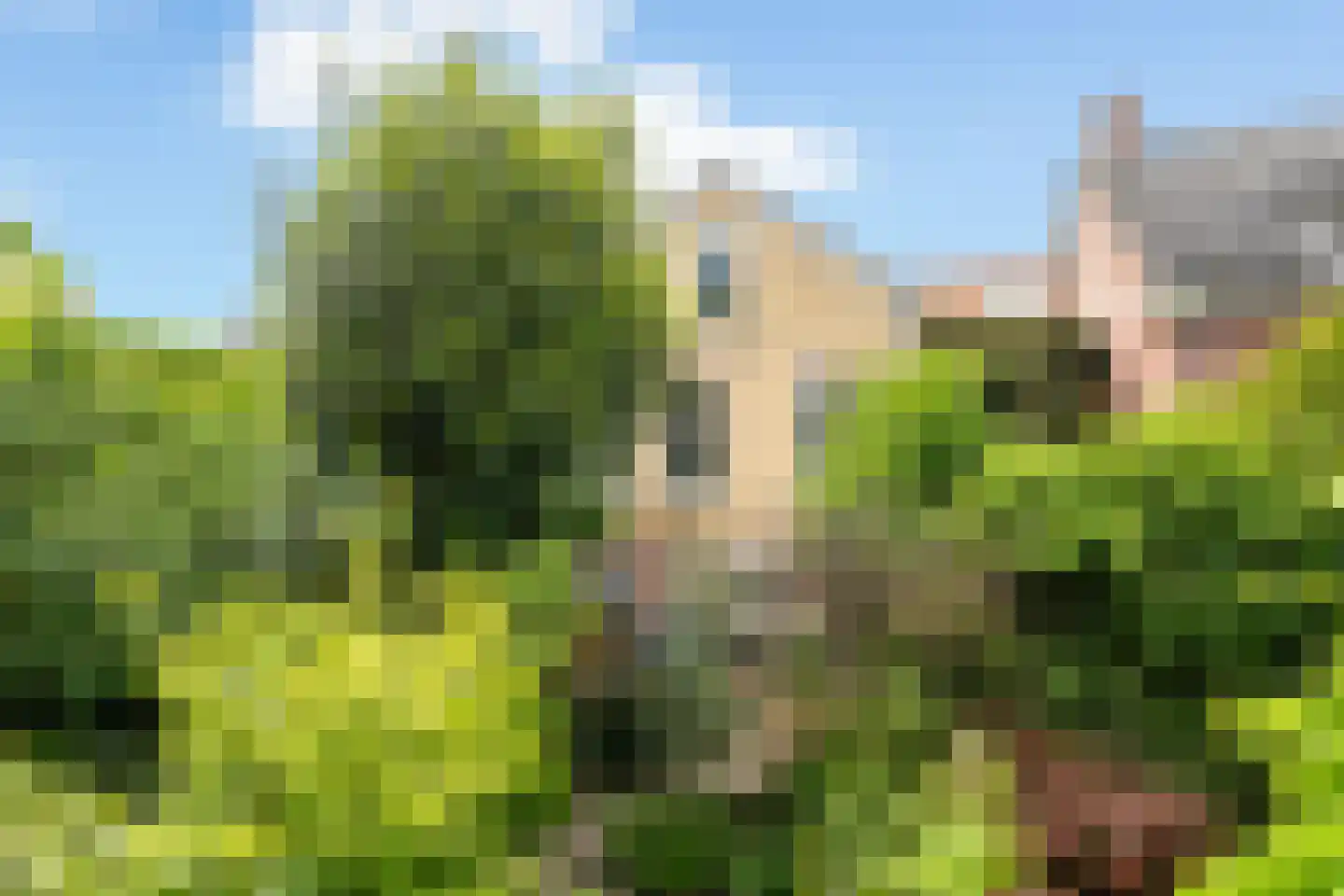 Zuidhoek 154 Rotterdam thumbnail 25