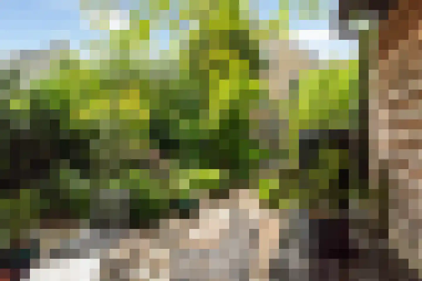 Zuidhoek 154 Rotterdam thumbnail 33