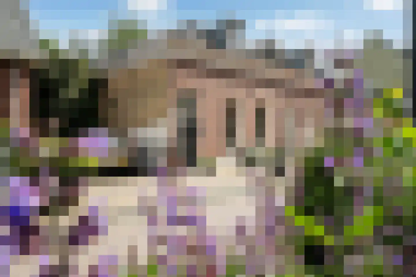 Zuidhoek 154 Rotterdam thumbnail 4