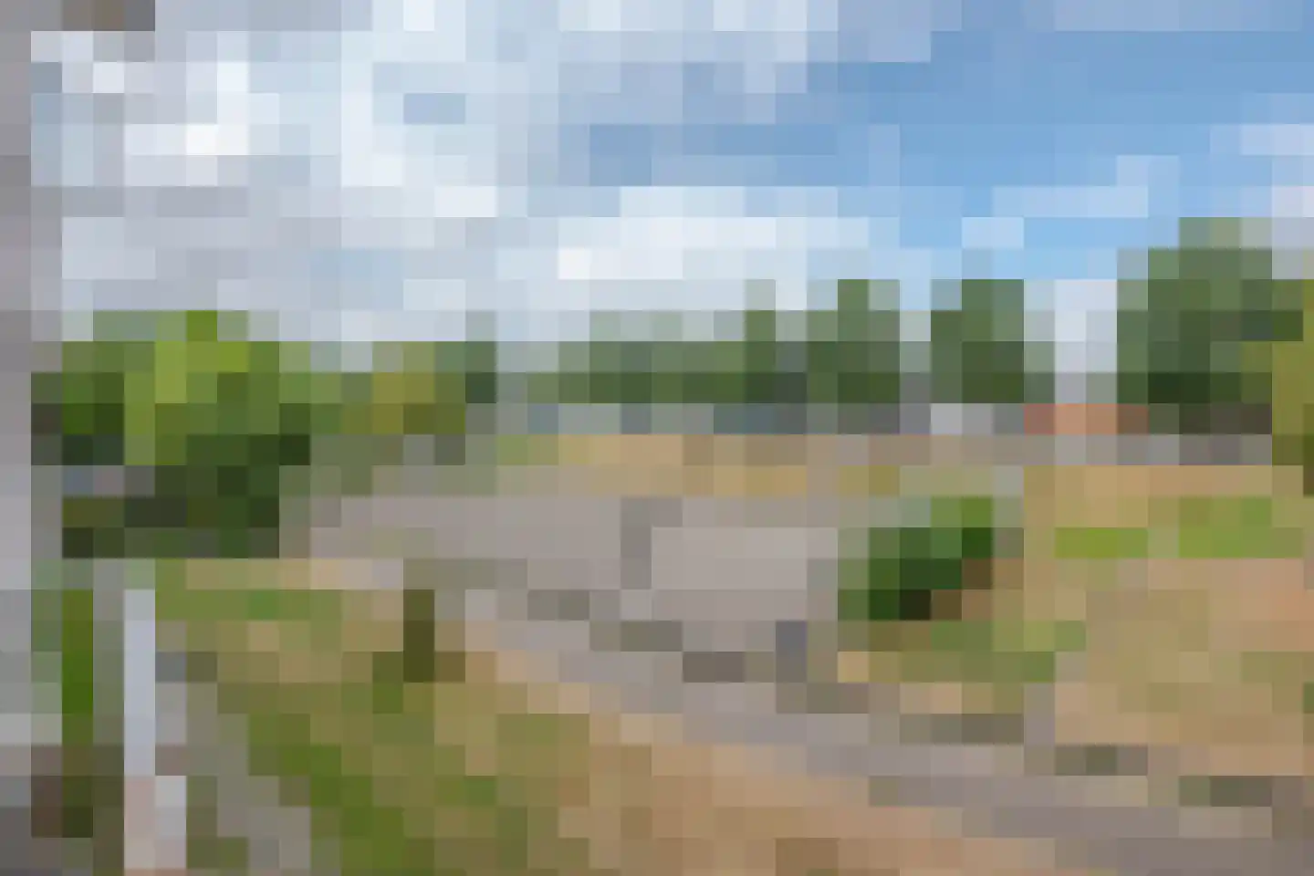 Zuidhoek 205 C Rotterdam thumbnail 13