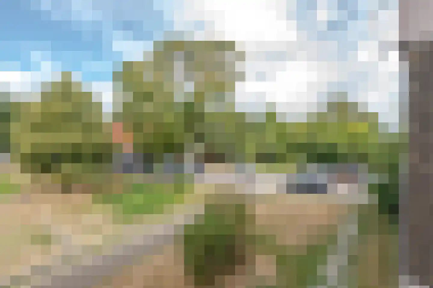 Zuidhoek 205 C Rotterdam thumbnail 14