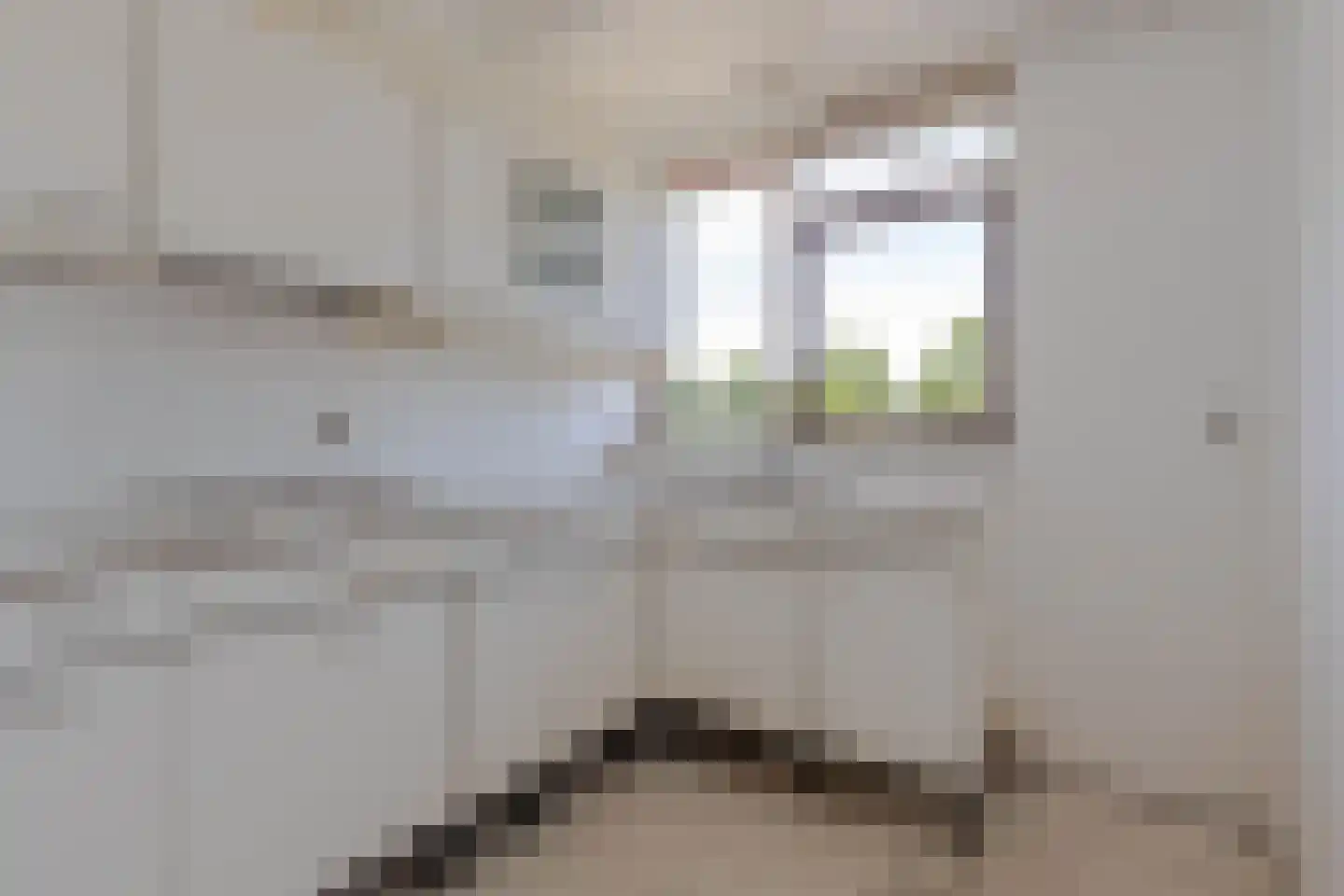Zuidhoek 209 E Rotterdam thumbnail 13