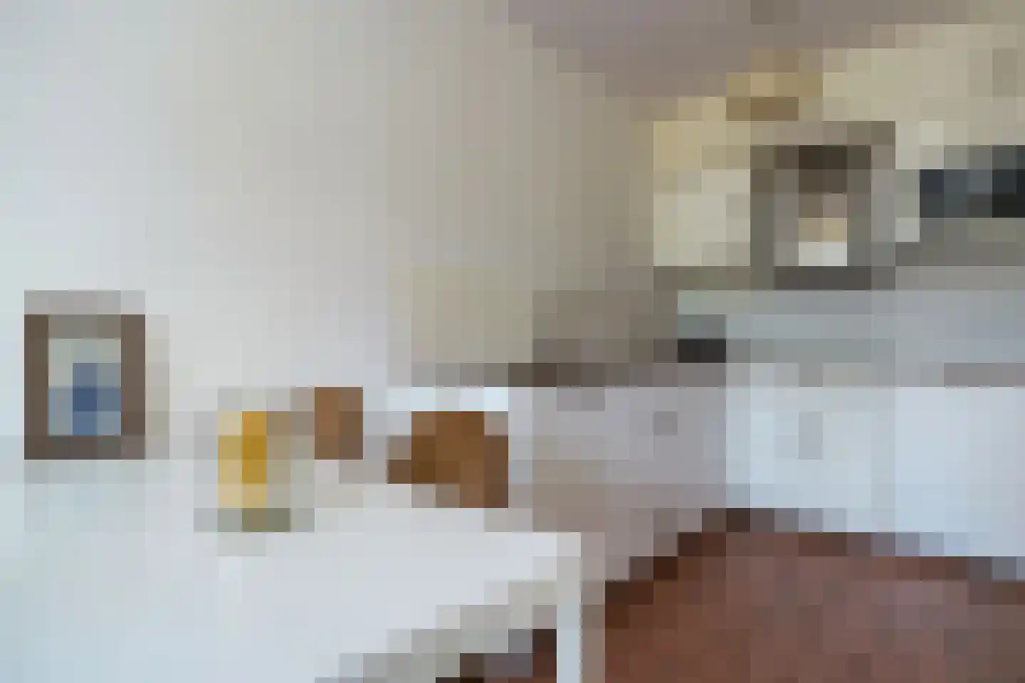 Zuidhoek 213 F Rotterdam thumbnail 15