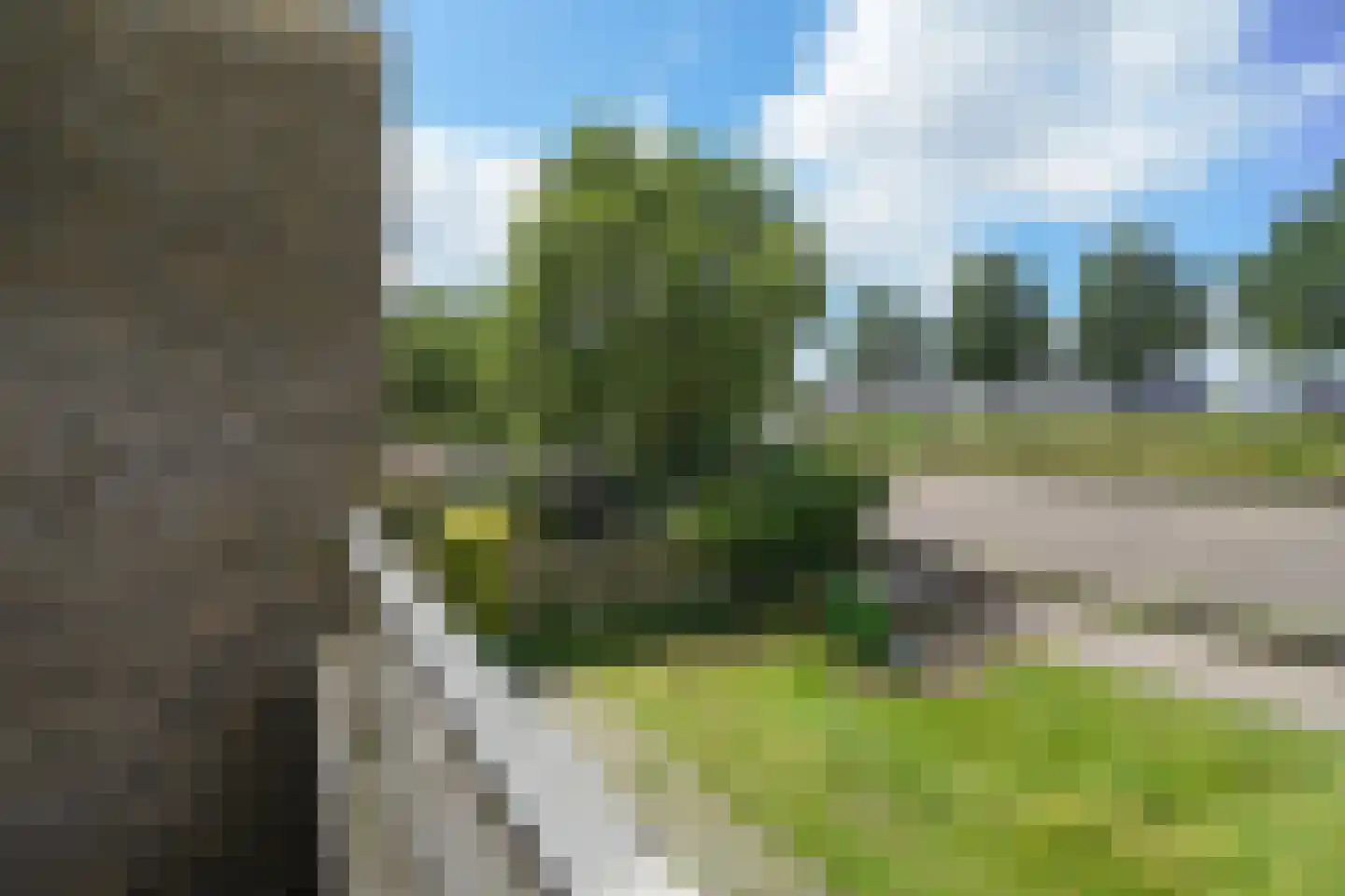 Zuidhoek 213 F Rotterdam thumbnail 4