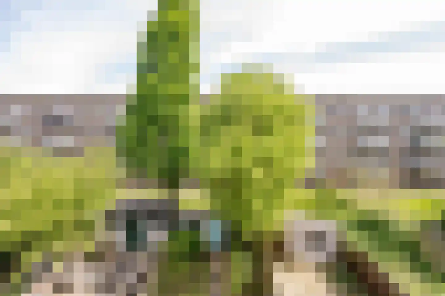 Zuidhoek 238 A 01 Rotterdam thumbnail 22