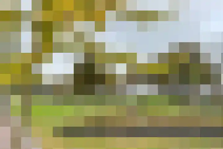 Zuidhoek 254 A 02 Rotterdam thumbnail 31