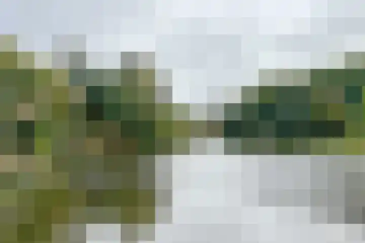 Zuidhoek 254 A 02 Rotterdam thumbnail 33