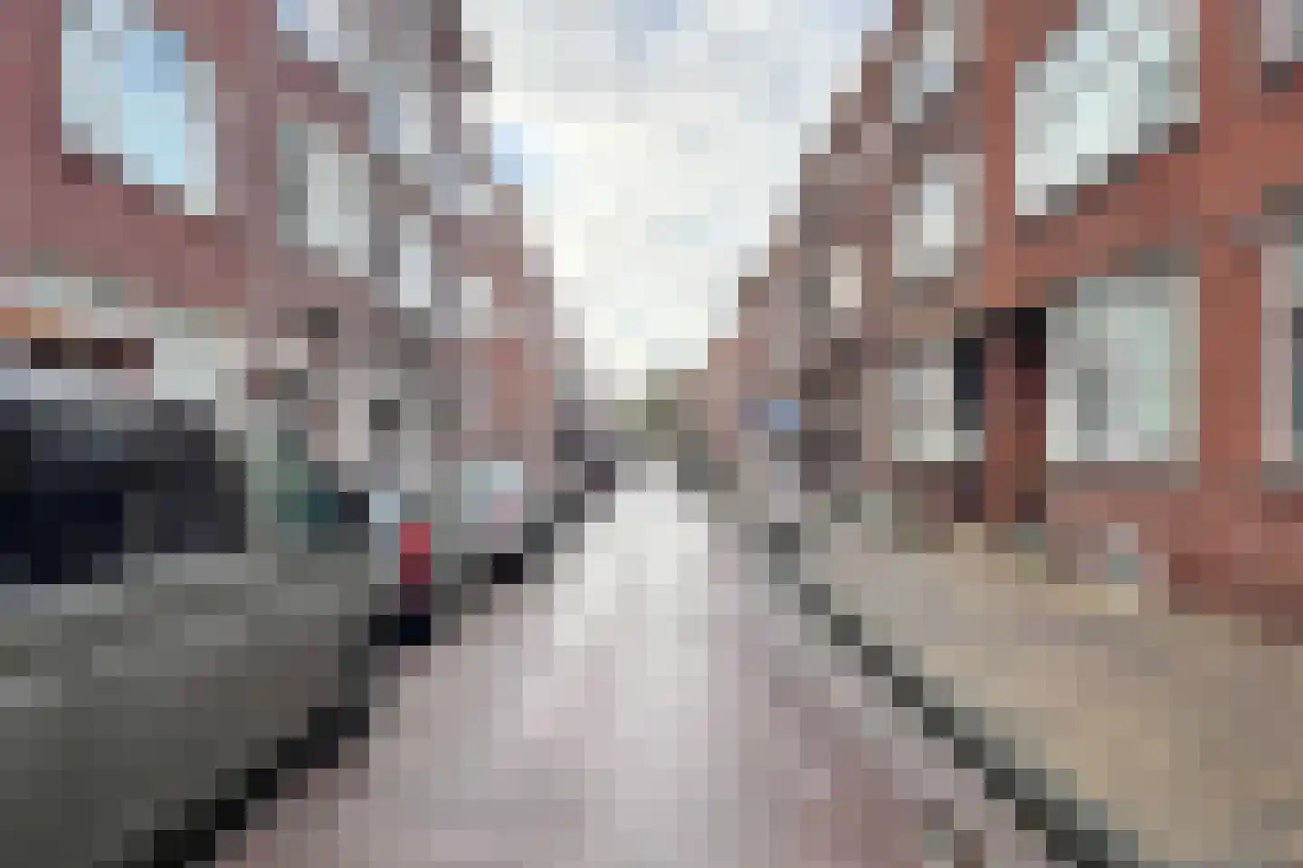Zuidhoek 260 B 02 Rotterdam thumbnail 25