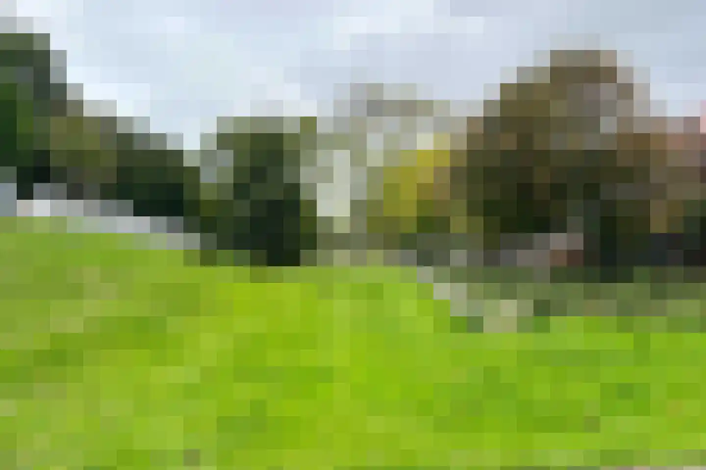 Zuidhoek 260 B 02 Rotterdam thumbnail 28