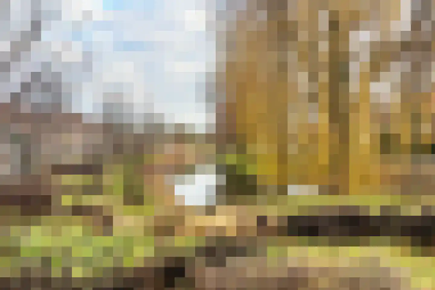 Zuidhoek 260 B 02 Rotterdam thumbnail 32