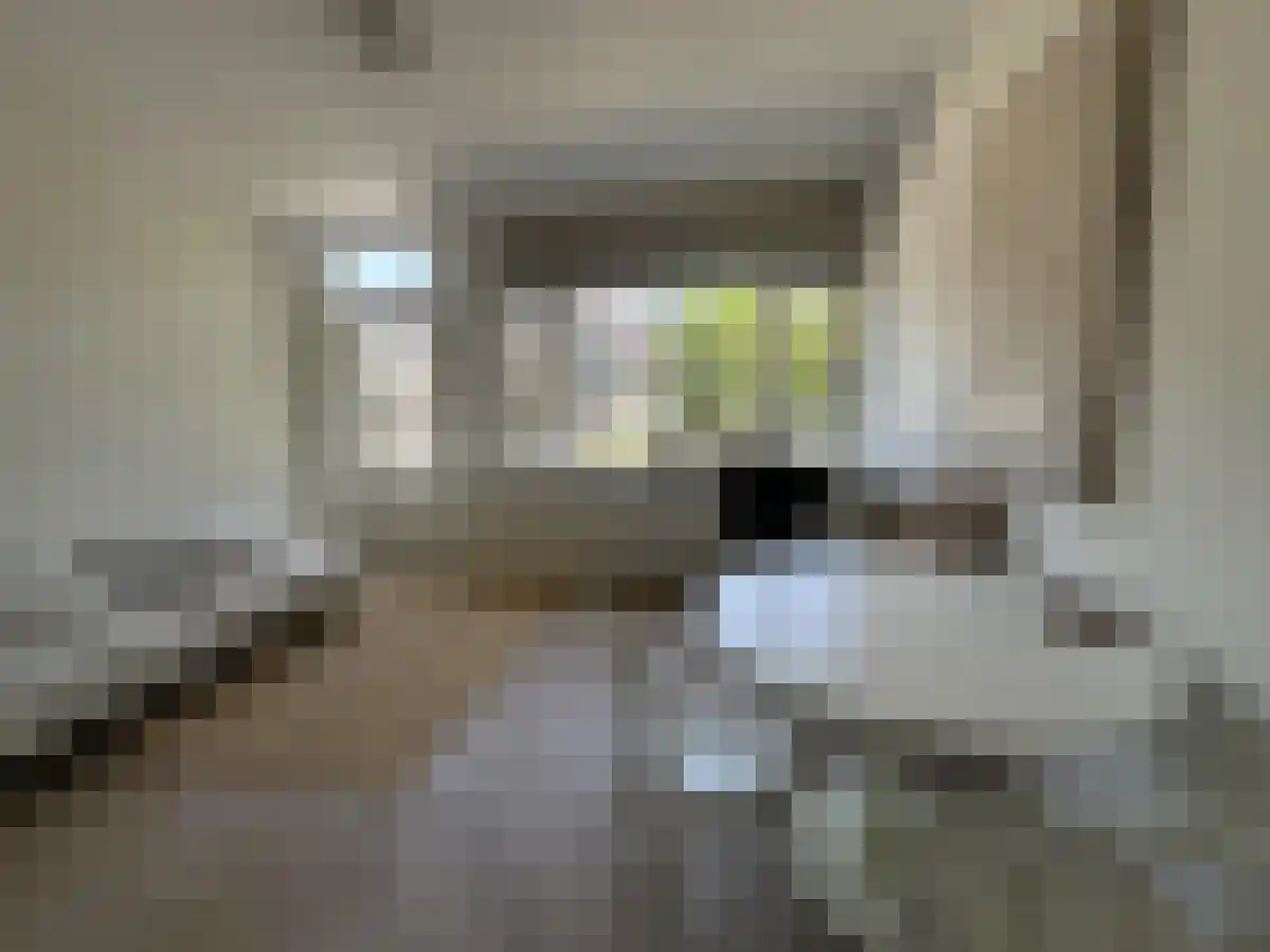 Zuidhoek 270 Rotterdam thumbnail 4