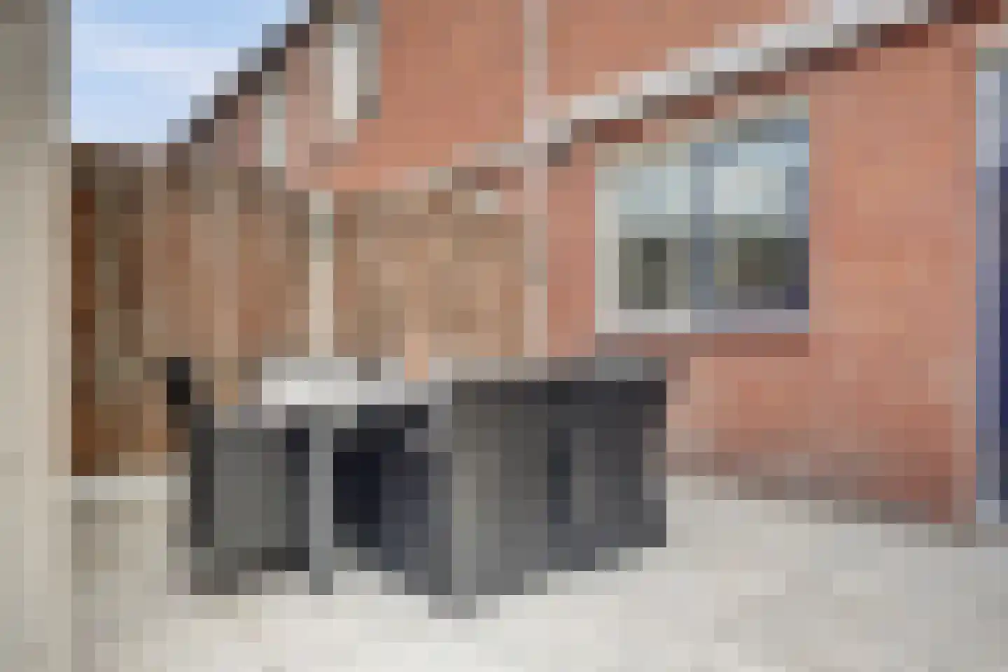 Zuidhoek 28 Rozenburg thumbnail 30