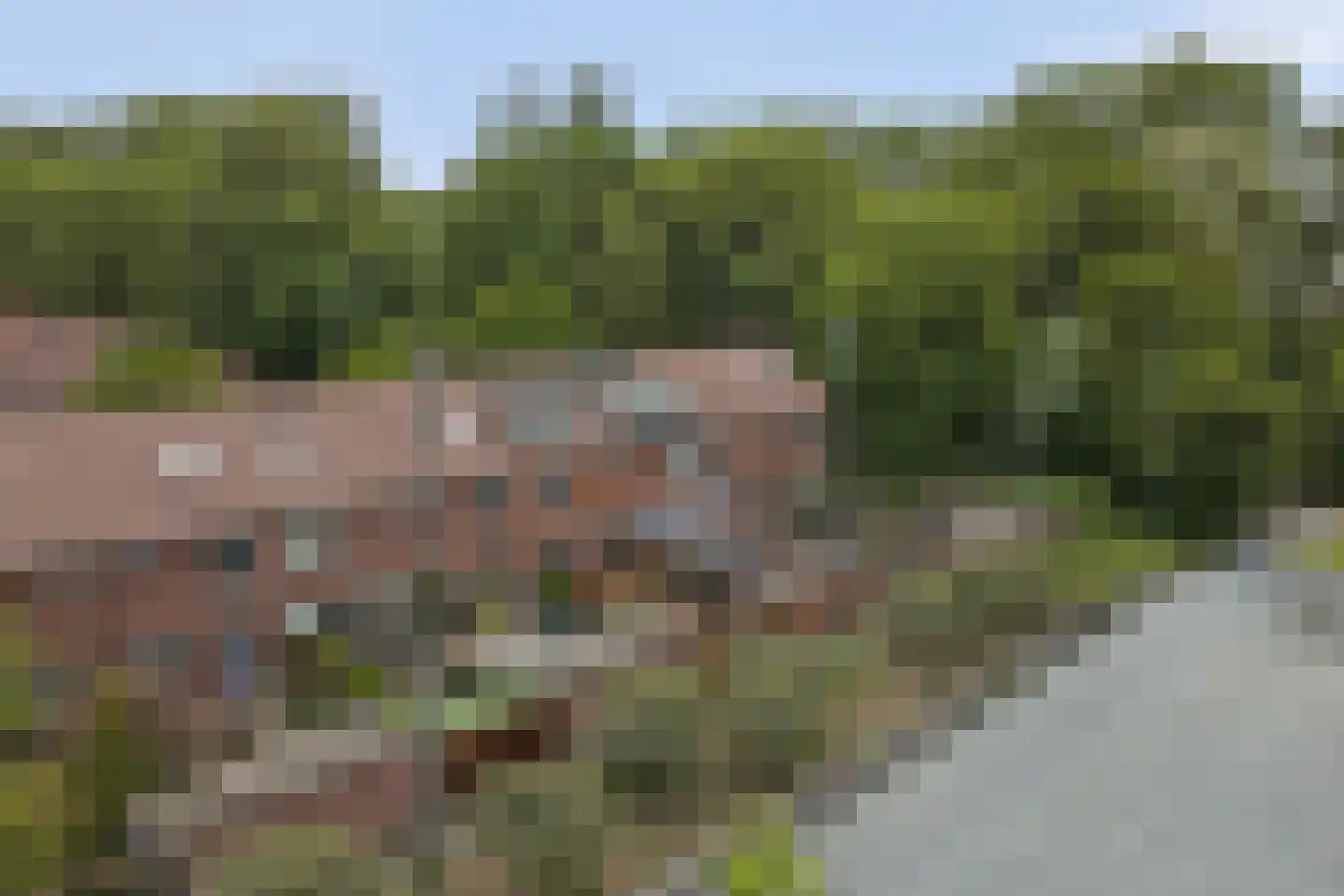 Zuidhoek 28 Rozenburg thumbnail 40