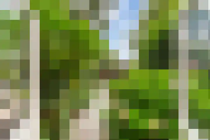 Zuidhoek 3 A 02 Rotterdam thumbnail 11