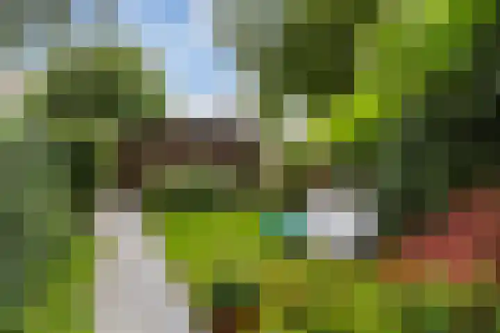 Zuidhoek 3 A 02 Rotterdam thumbnail 12