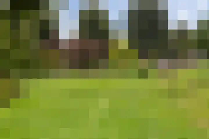 Zuidhoek 3 A 02 Rotterdam thumbnail 33