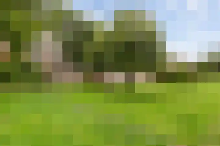 Zuidhoek 3 A 02 Rotterdam thumbnail 34