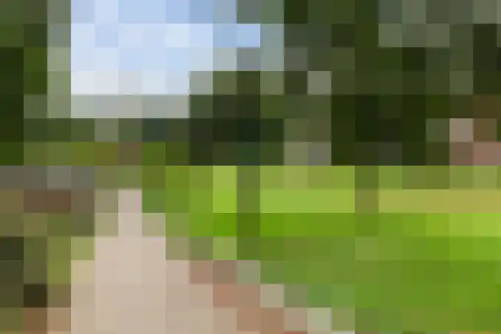 Zuidhoek 3 A 02 Rotterdam thumbnail 35