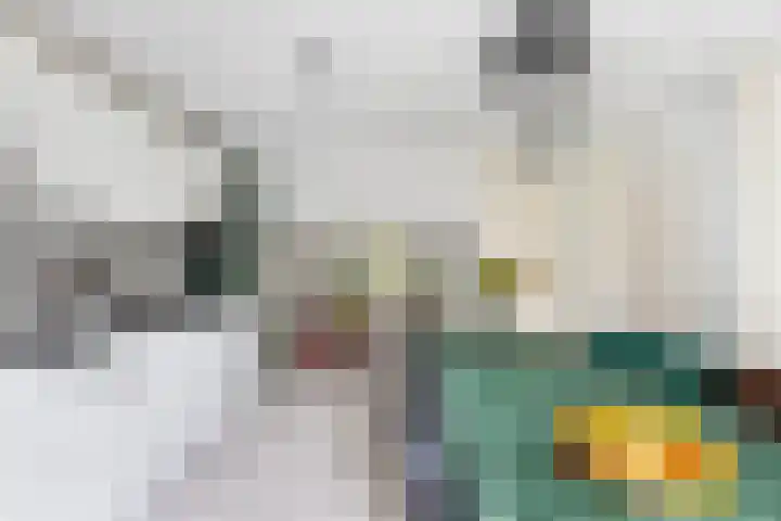 Zuidhoek 3 A 02 Rotterdam thumbnail 6