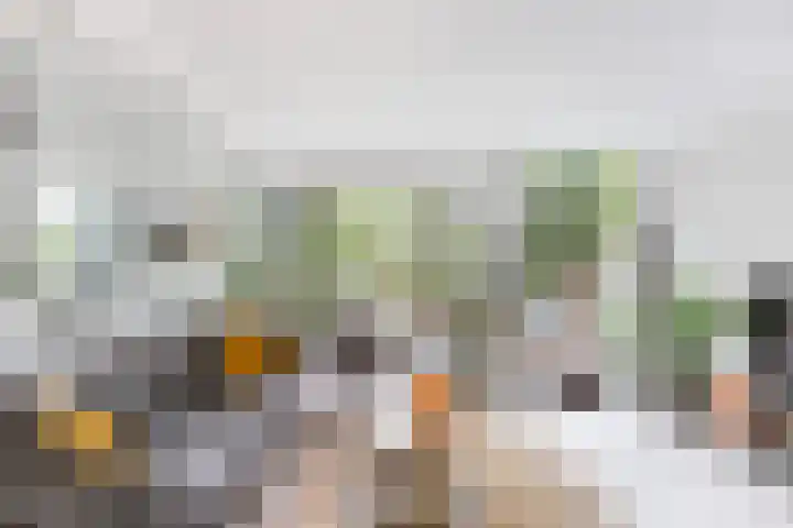 Zuidhoek 3 A 02 Rotterdam thumbnail 9