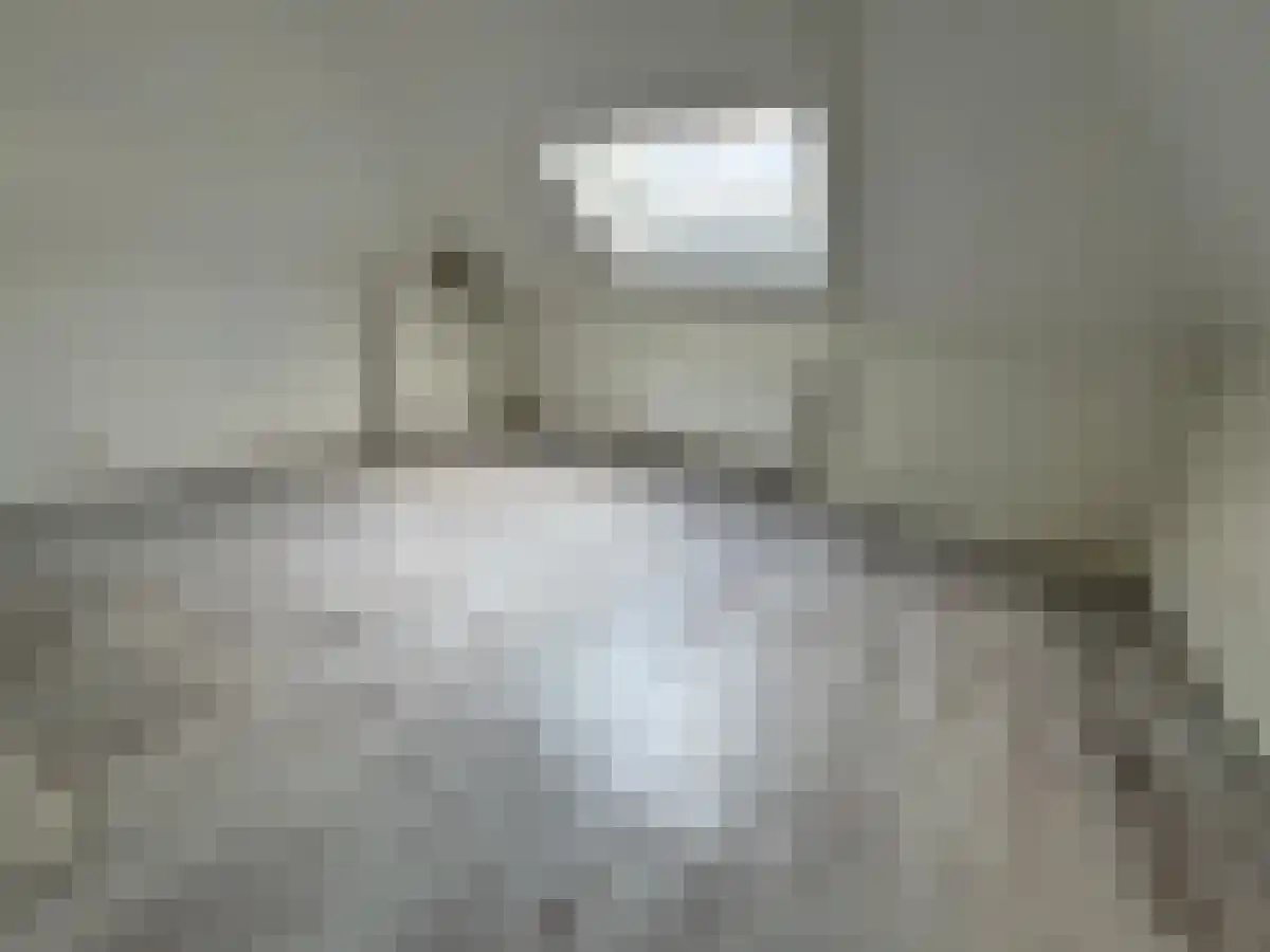Zuidhoek 314 Rotterdam thumbnail 4