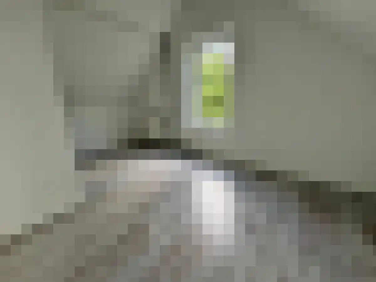 Zuidhoek 314 Rotterdam thumbnail 5