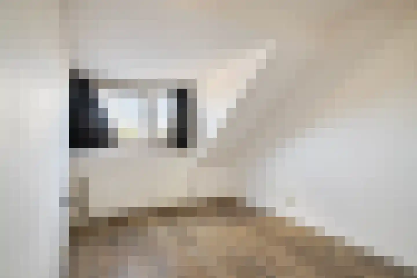 Zuidhoek 44 A Rotterdam thumbnail 17