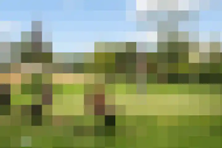 Zuidhoek 62 A Rotterdam thumbnail 27