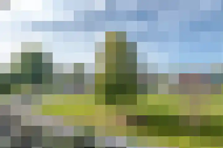 Zuidhoek 63 B Rotterdam thumbnail 5