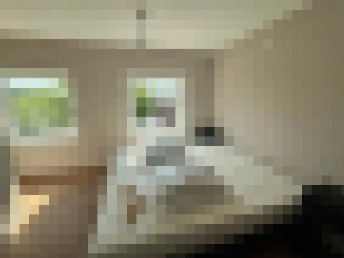 Zuidhoek 7 Rotterdam thumbnail 5