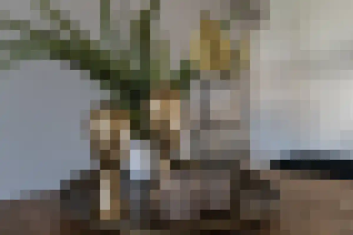 Zuidhoek 7 Rotterdam thumbnail 6
