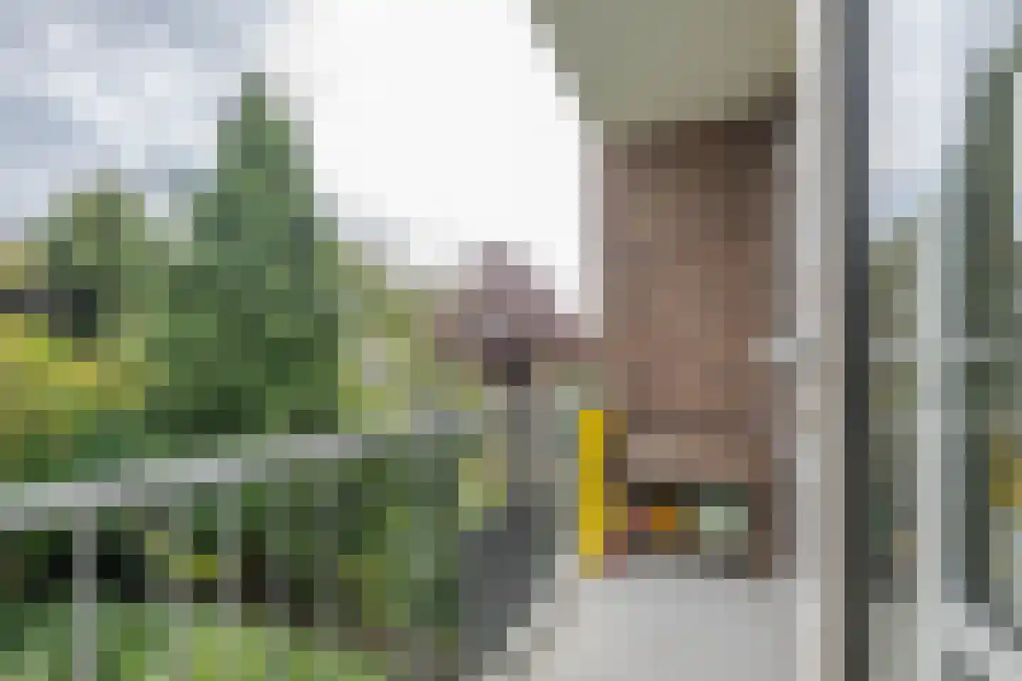 Zuidhoek 94 B Rotterdam thumbnail 14