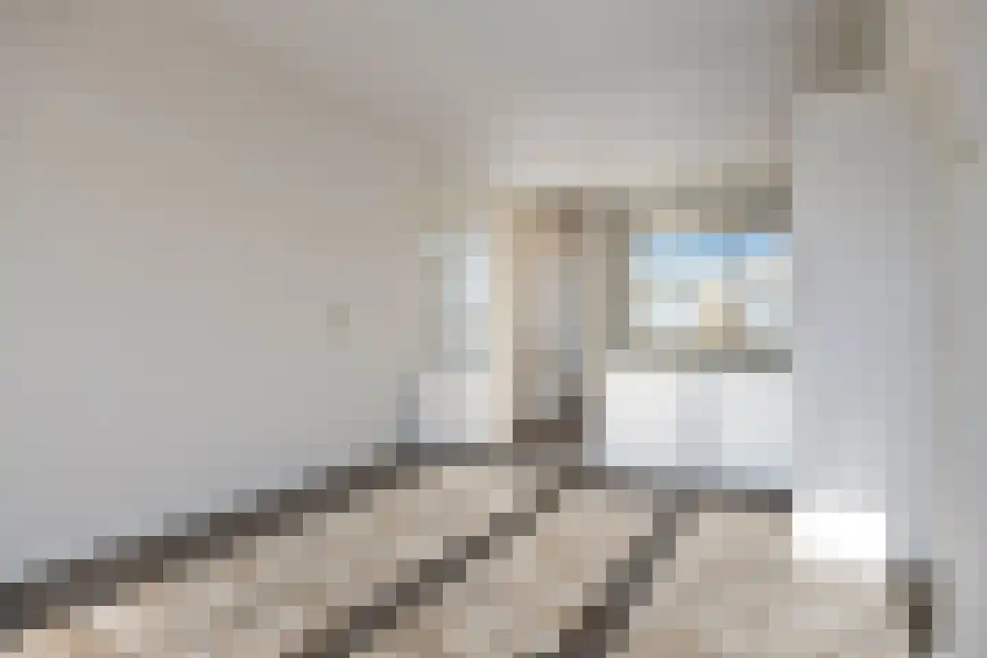 Zuidhoek 94 C Rotterdam thumbnail 14