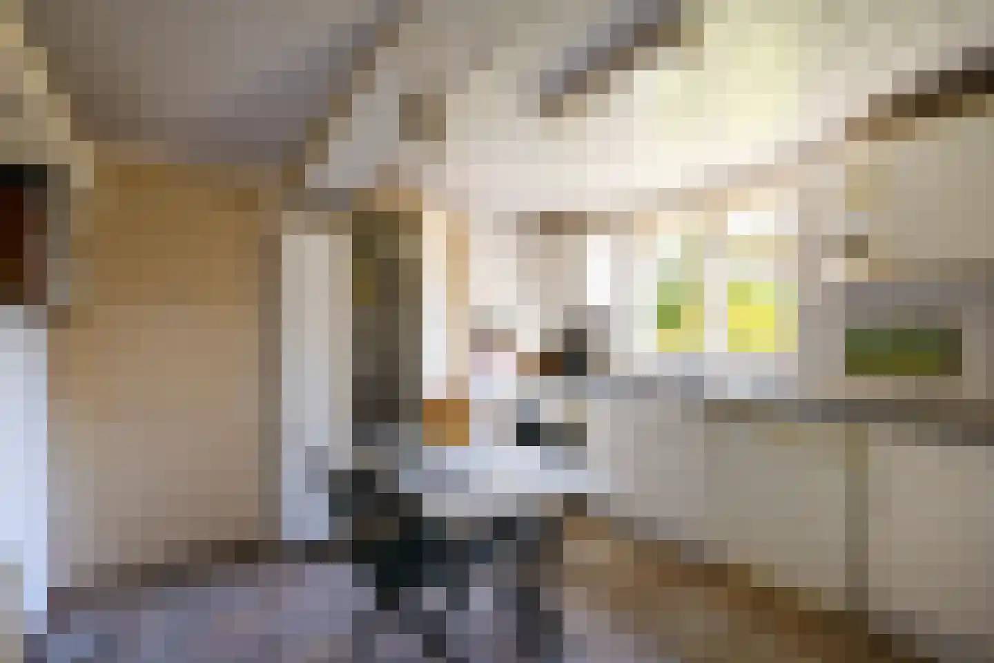 Zuidhof 17 Rilland thumbnail 12