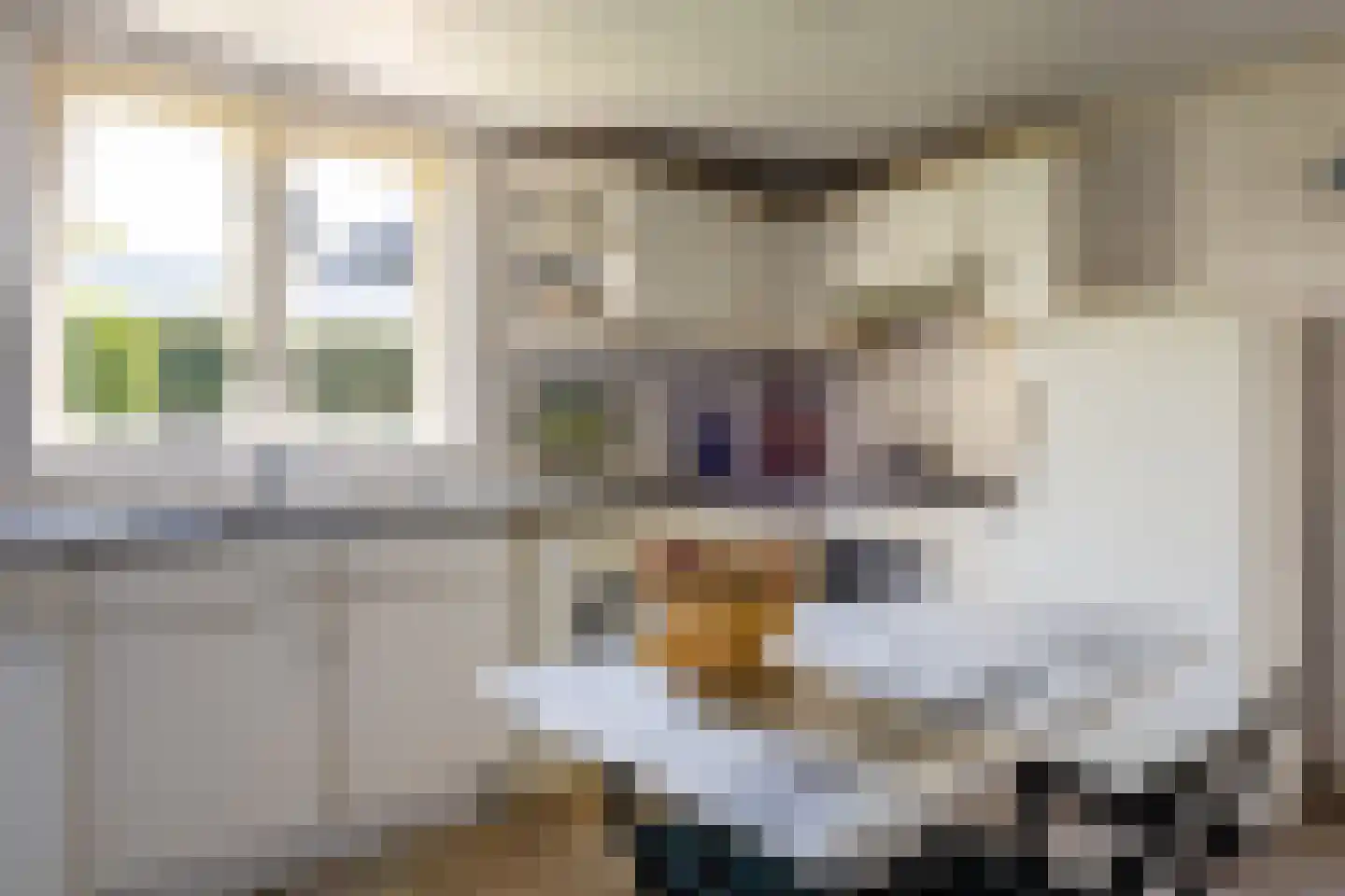 Zuidhof 17 Rilland thumbnail 14