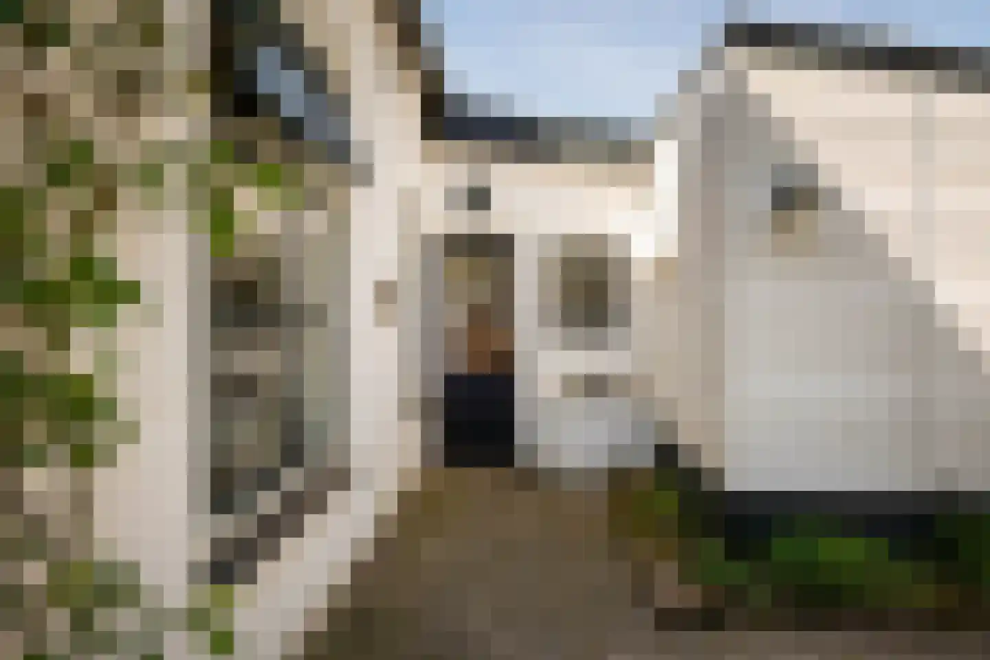 Zuidhof 17 Rilland thumbnail 22