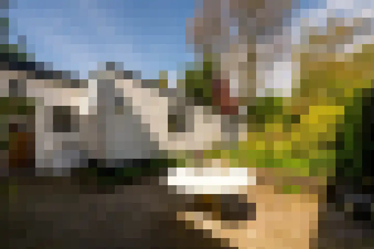 Zuidhof 17 Rilland thumbnail 23