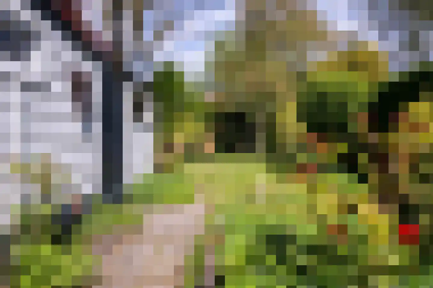 Zuidhof 17 Rilland thumbnail 26