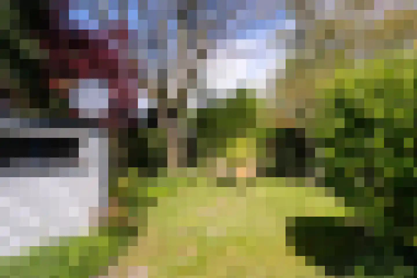 Zuidhof 17 Rilland thumbnail 27