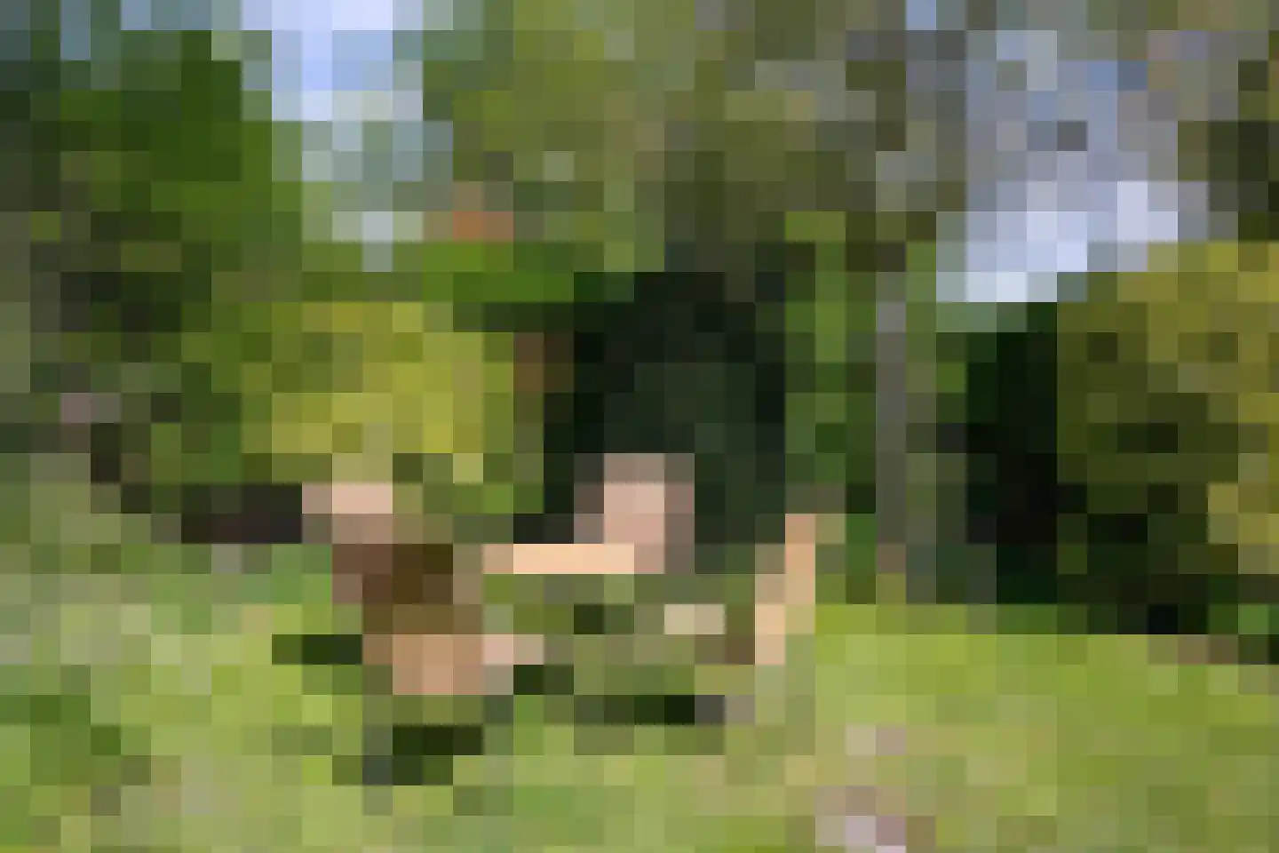 Zuidhof 17 Rilland thumbnail 28