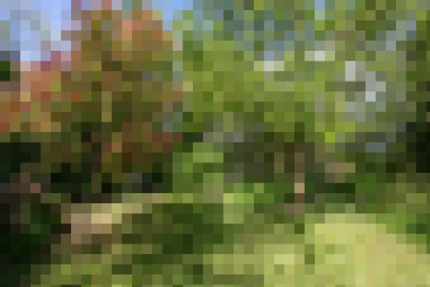 Zuidhof 17 Rilland thumbnail 29