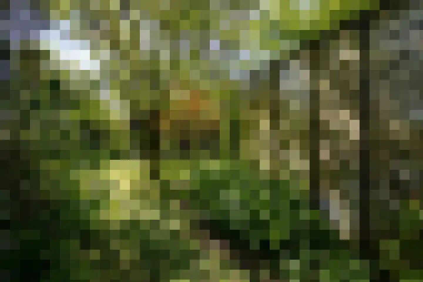 Zuidhof 17 Rilland thumbnail 30