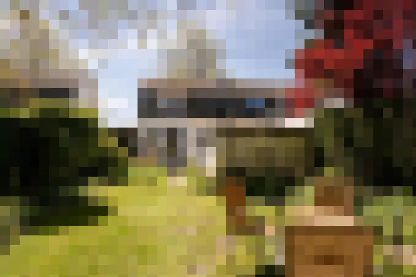 Zuidhof 17 Rilland thumbnail 31