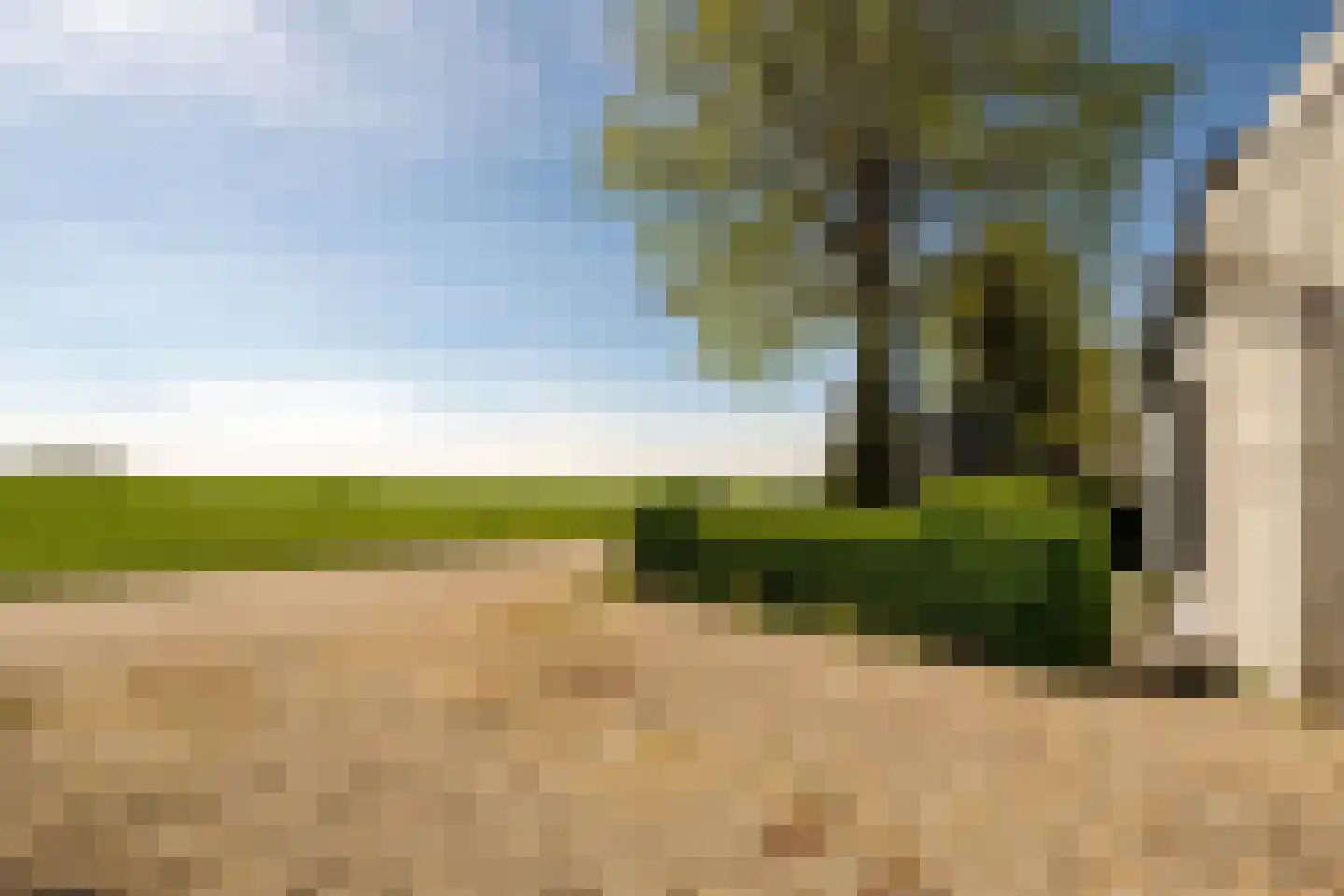 Zuidhof 17 Rilland thumbnail 33