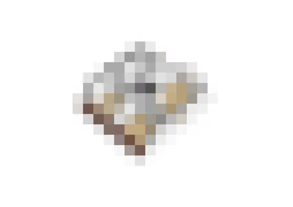 Zuidhof 17 Rilland thumbnail 43