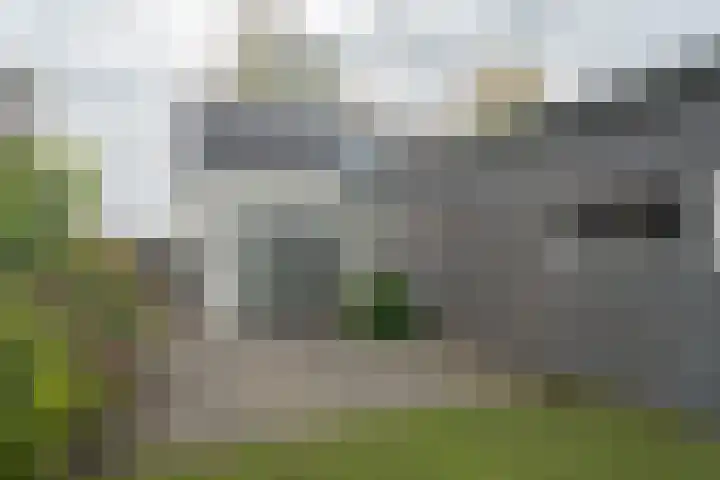 Zuidhof 21 Rilland thumbnail 25