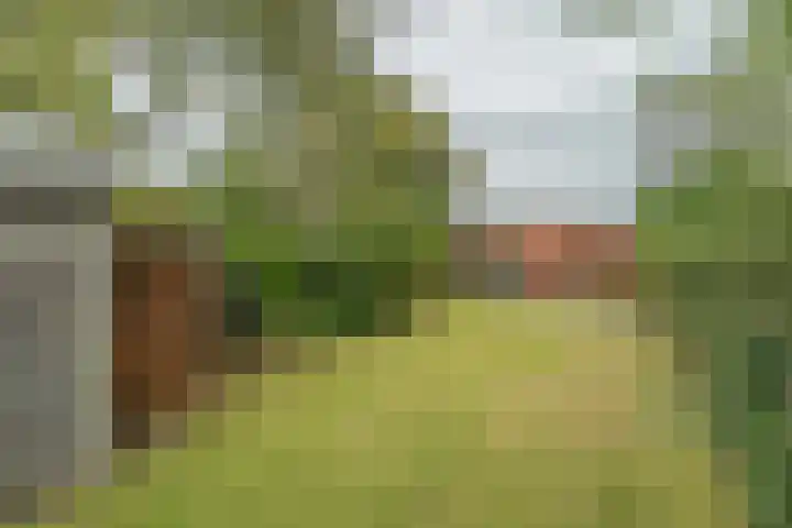 Zuidhof 21 Rilland thumbnail 30