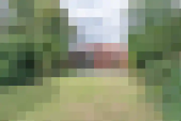 Zuidhof 21 Rilland thumbnail 31