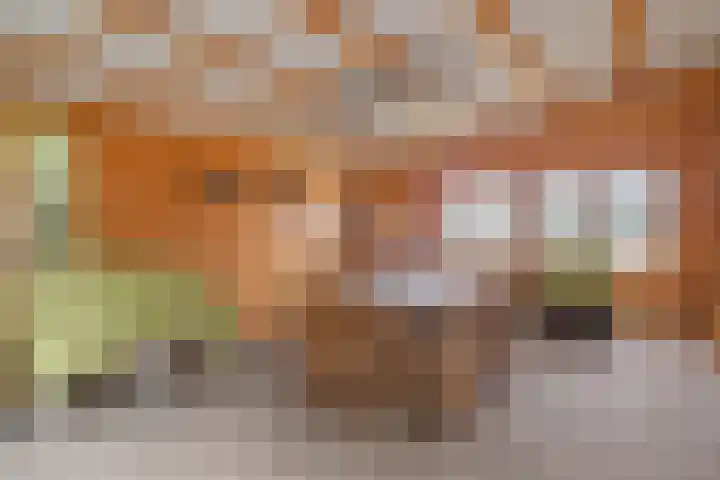 Zuidhof 21 Rilland thumbnail 32