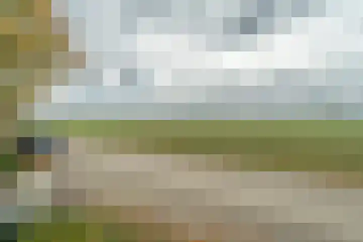 Zuidhof 21 Rilland thumbnail 38
